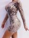 V Shape Sequin Dress