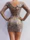 V Shape Sequin Dress