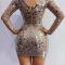 V Shape Sequin Dress